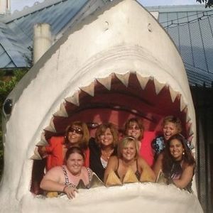 Meet your Posher, Debbie